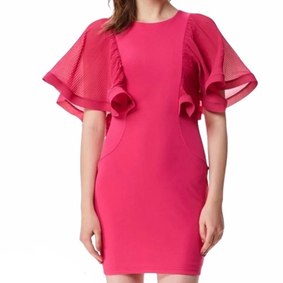 Ina Dresses & Skirts - INA Fitter Mini Dress with Ruffle Sleeves